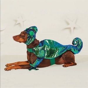 tangled dog costume